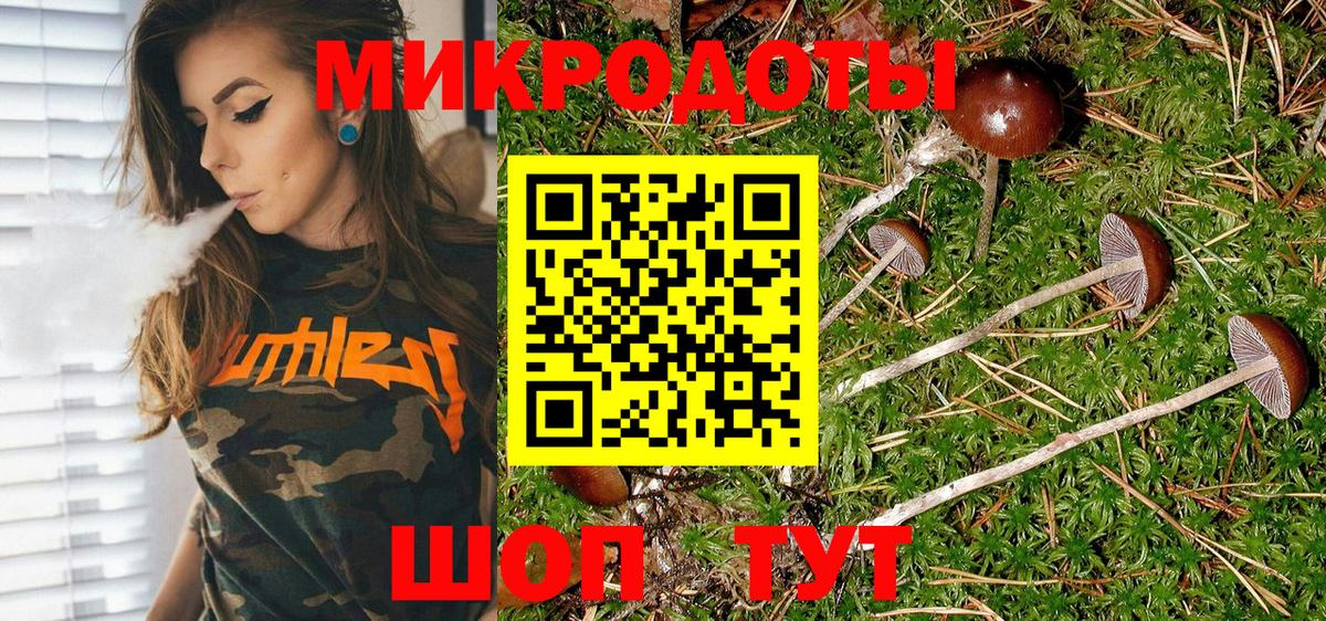 Псилоцибиновые грибы прущие грибы Красноперекопск